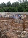 IMG-20180502-WA0065.jpg